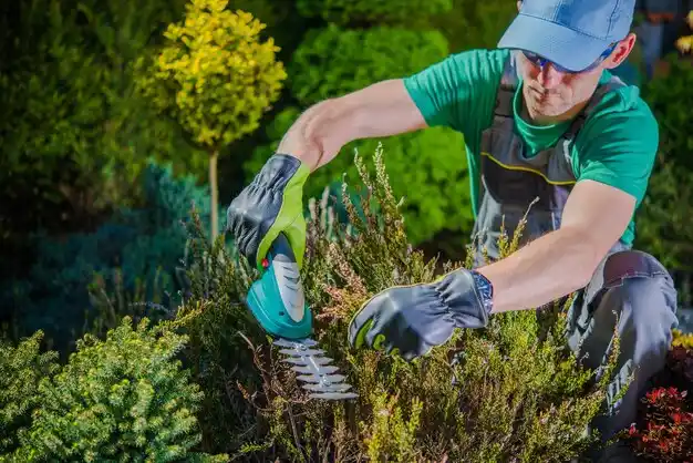 landscaping services Calvert City